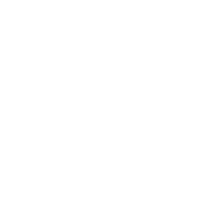 Legacy Stone Corp